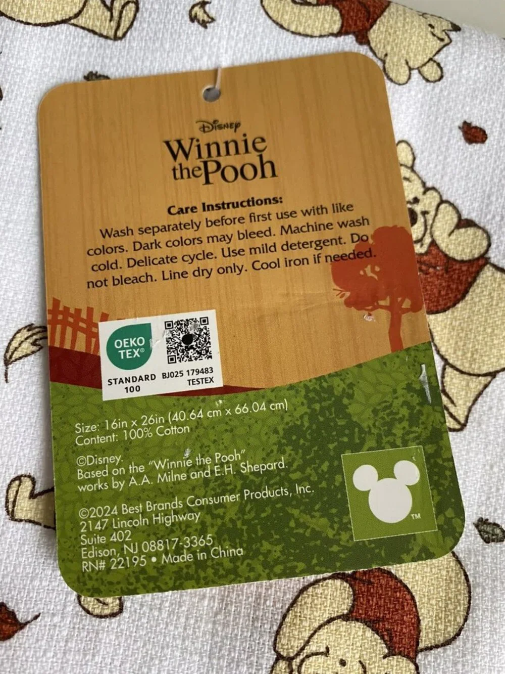 Disney pk winnie